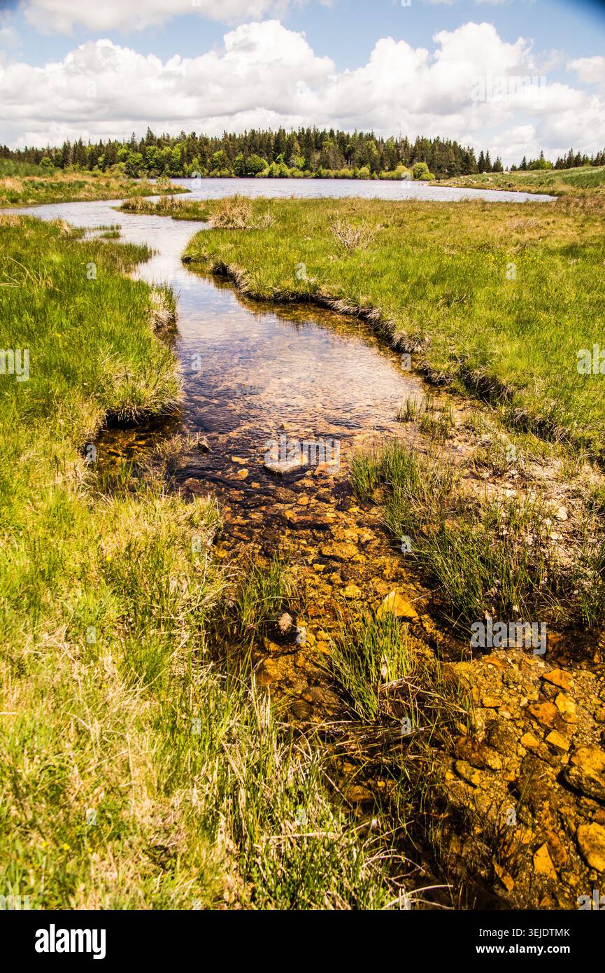 Small stream flows through green grass field with cloudy sky in the Stock Photo
