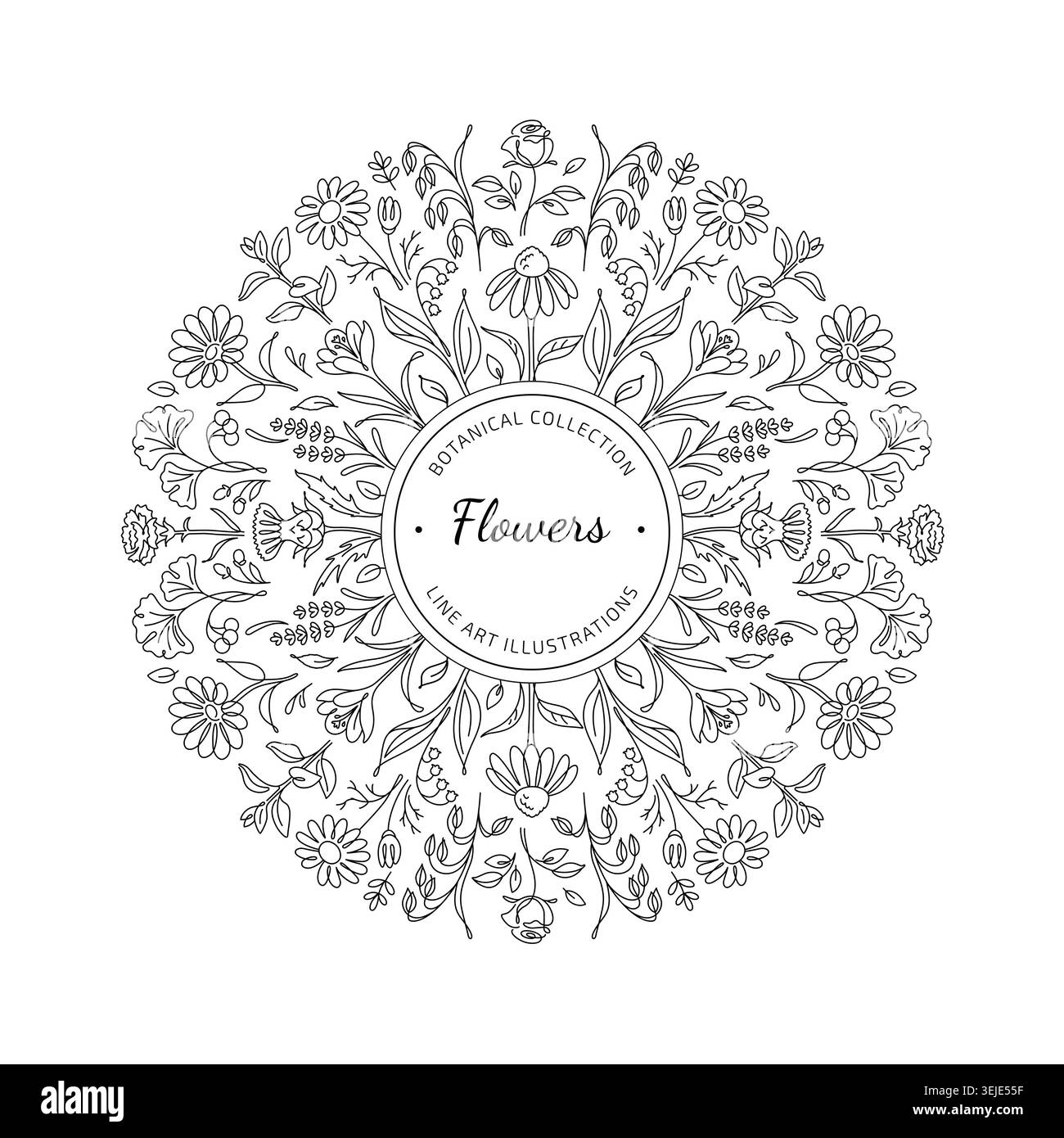 Botanical Line Art Floral Mandala Frame Stock Vector
