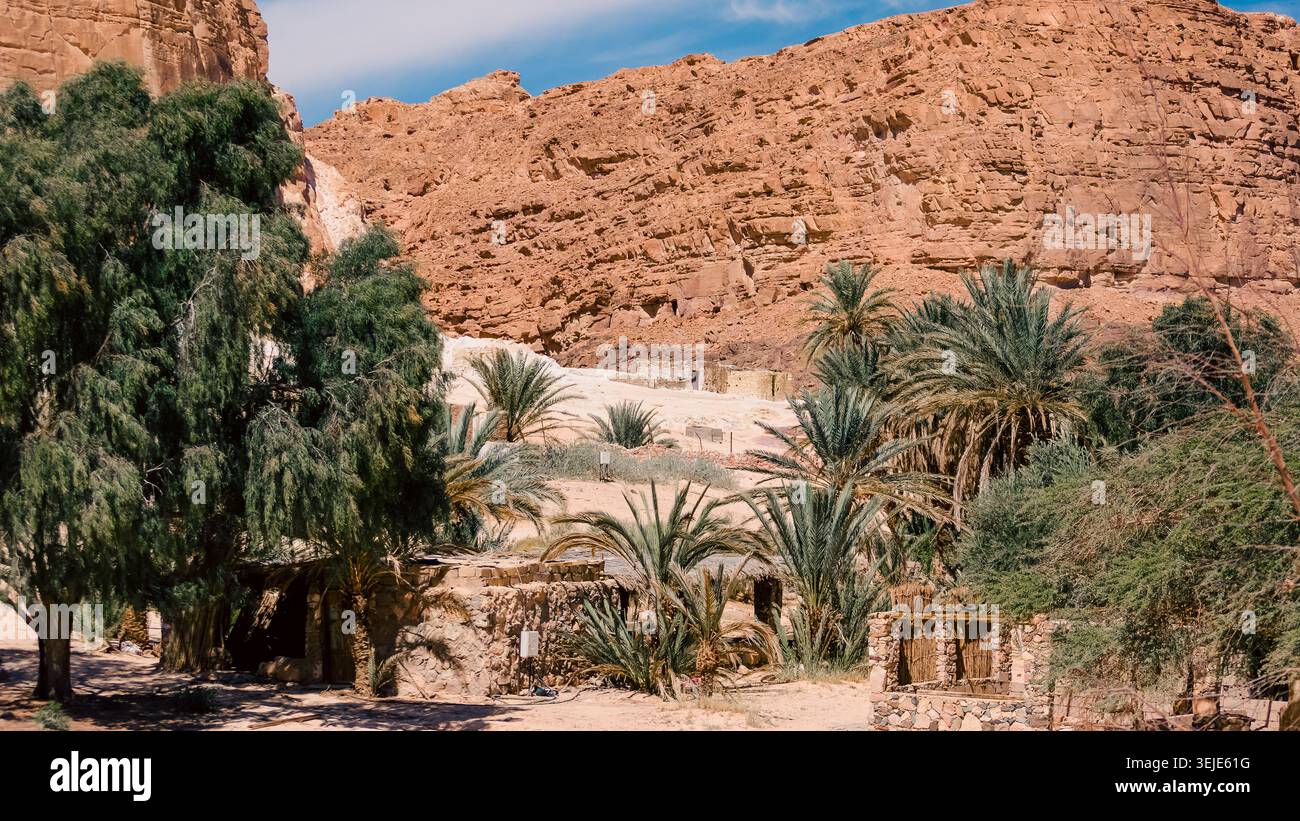 Bedouin village in an oasis in the desert among the mountains in Egypt Dahab South Sinai Stock Photo