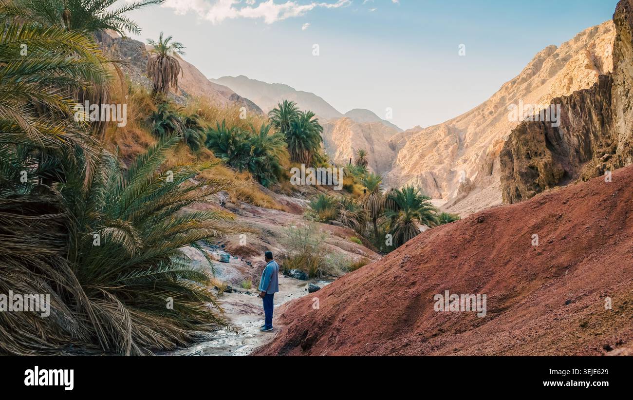 Mountain landscape with palm trees and plants in the desert of Egypt Dahab Stock Photo