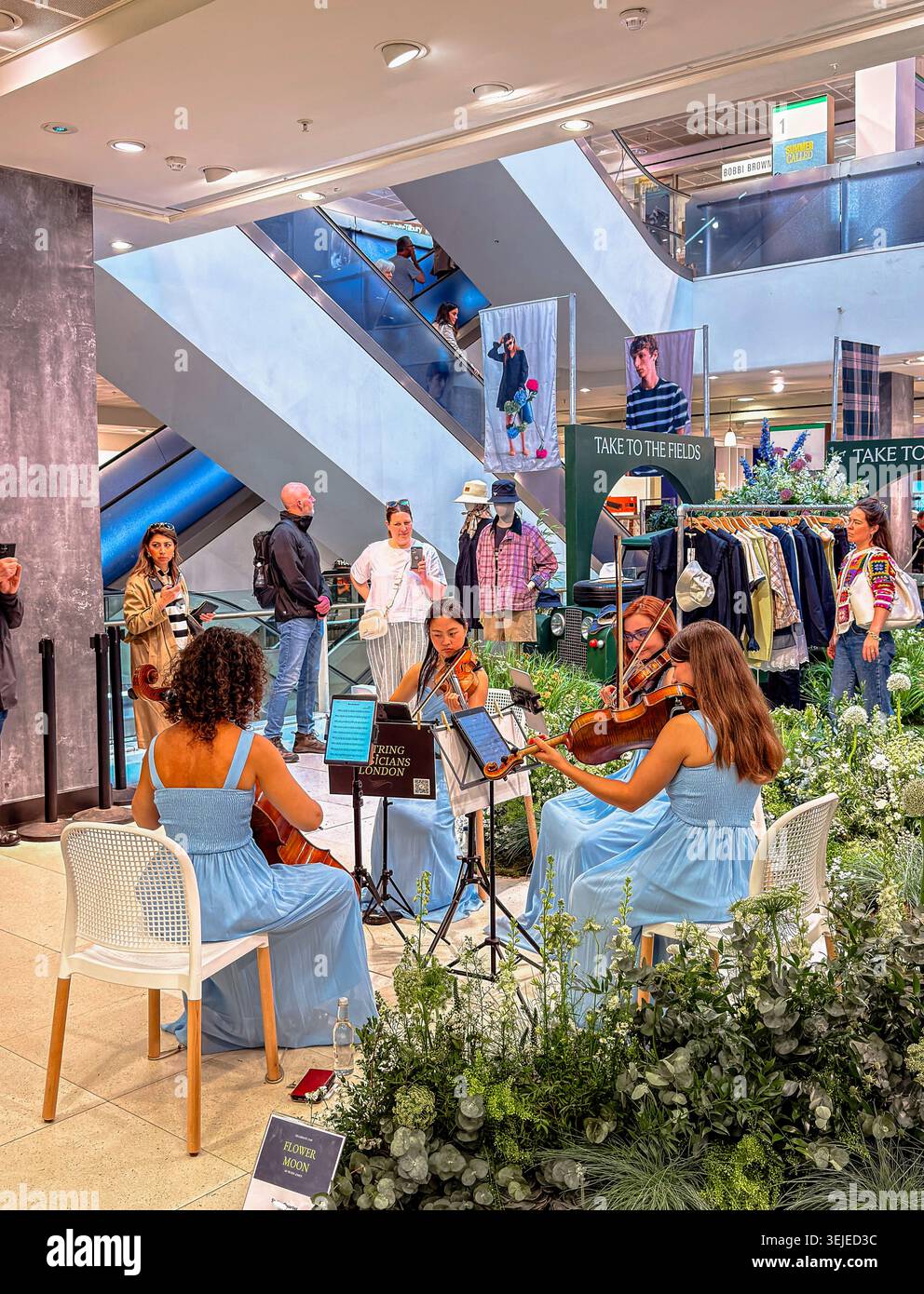A female string quartet playing inside Peter Jones, a department store in Sloane Square during Chelsea in Bloom week ,Sloane Square,London SW3 Stock Photo