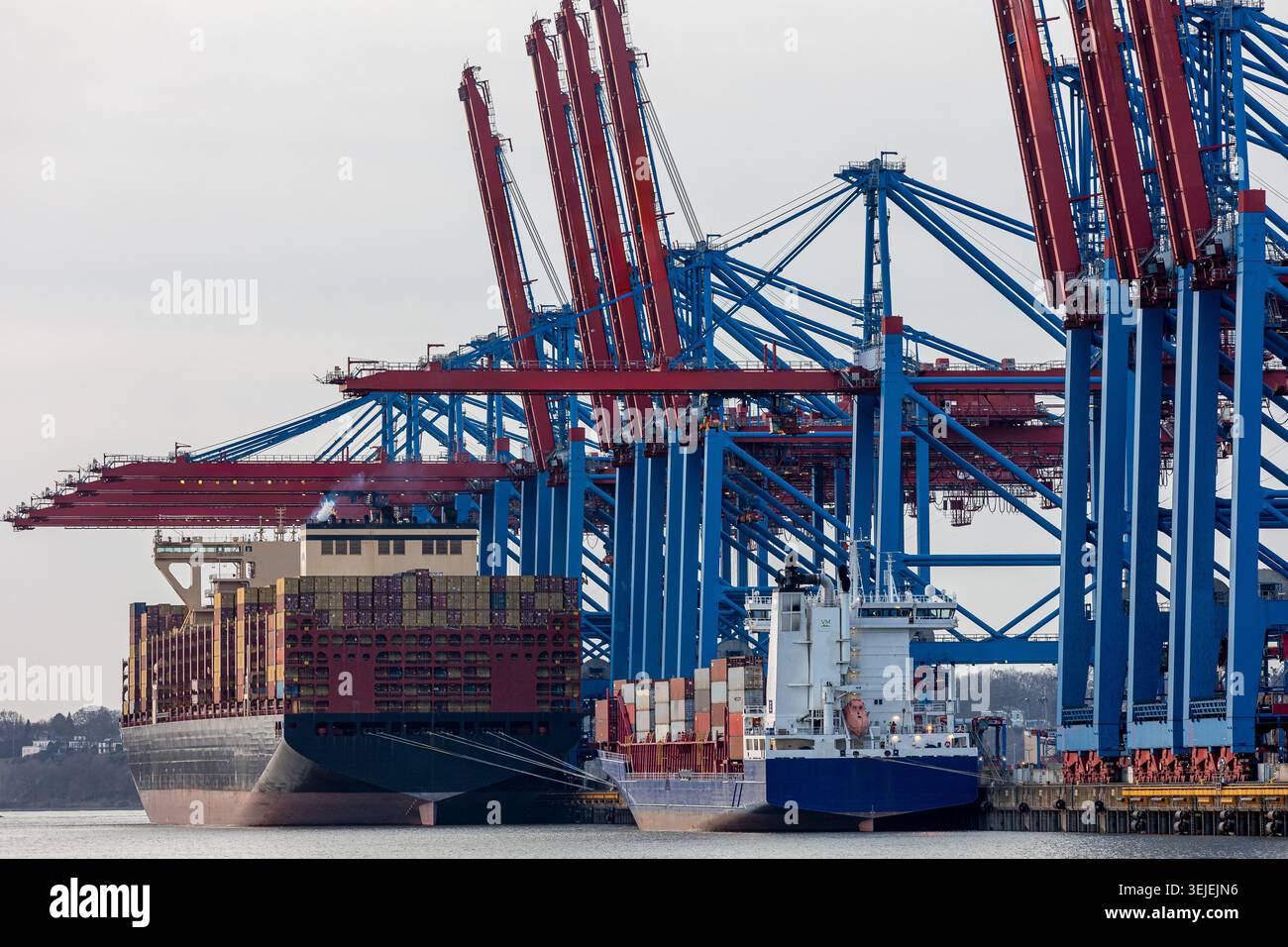 Container ships docked alongside giant gantry cranes in Hamburg ...