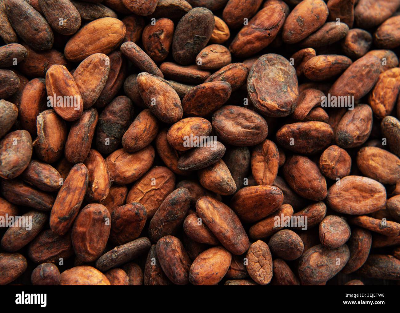 Cocoa beans background Stock Photo
