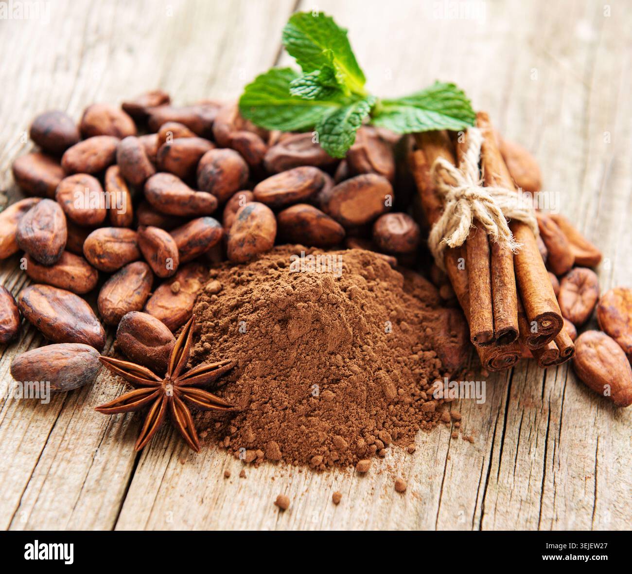 Cocoa powder and beans Stock Photo
