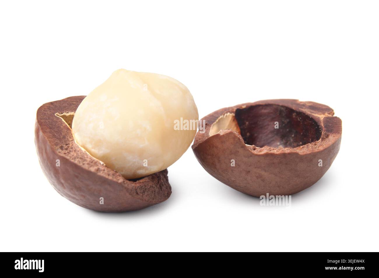Macadamia nut Stock Photo