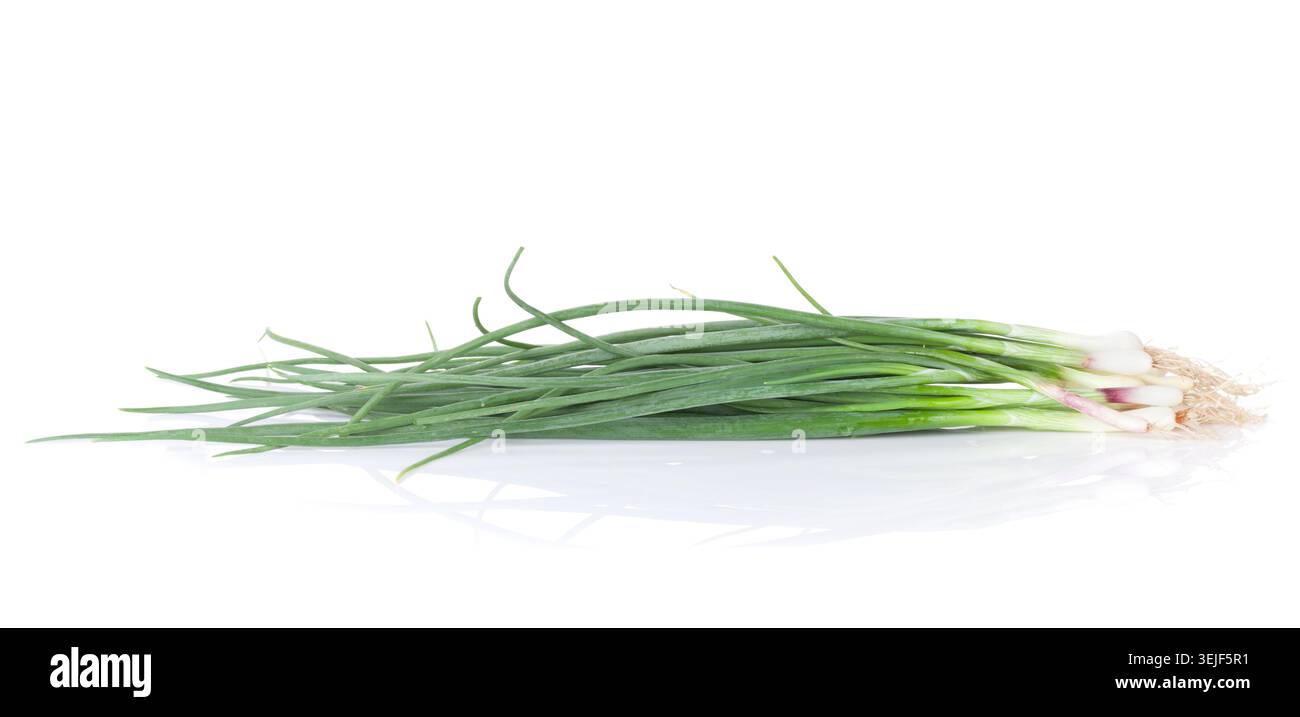 Fresh garden herbs. Spring onion Stock Photo