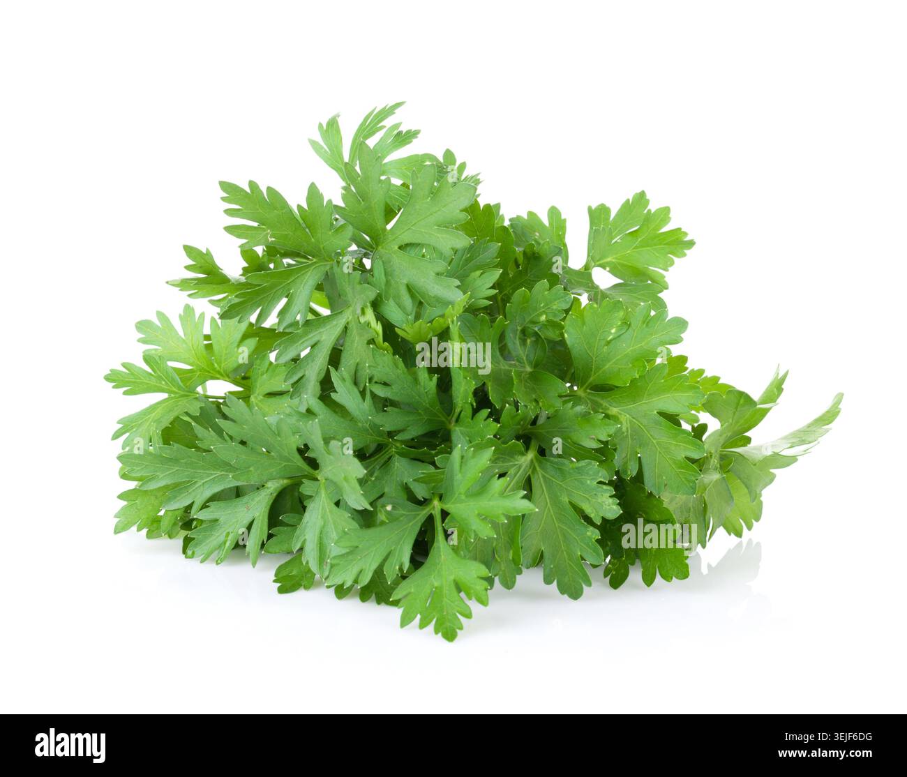 Fresh garden herbs parsley hi-res stock photography and images - Alamy