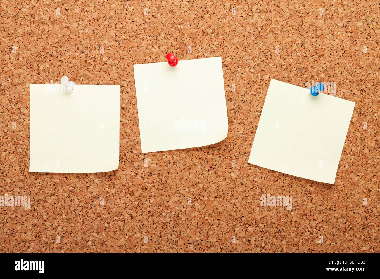 Blank notes on cork notice board Stock Photo