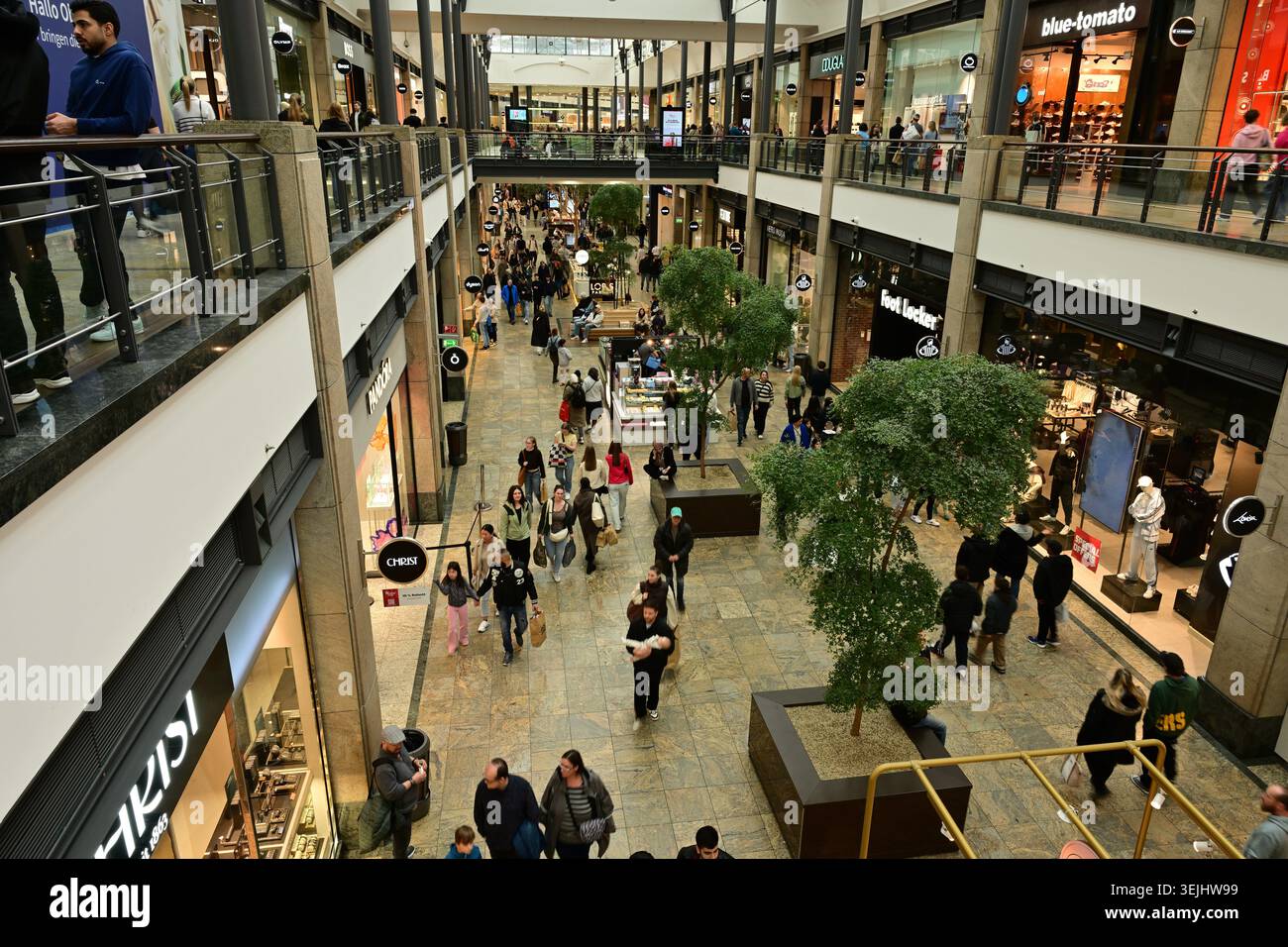 Two level shopping mall with many shoppers, brand stores, trees and ...