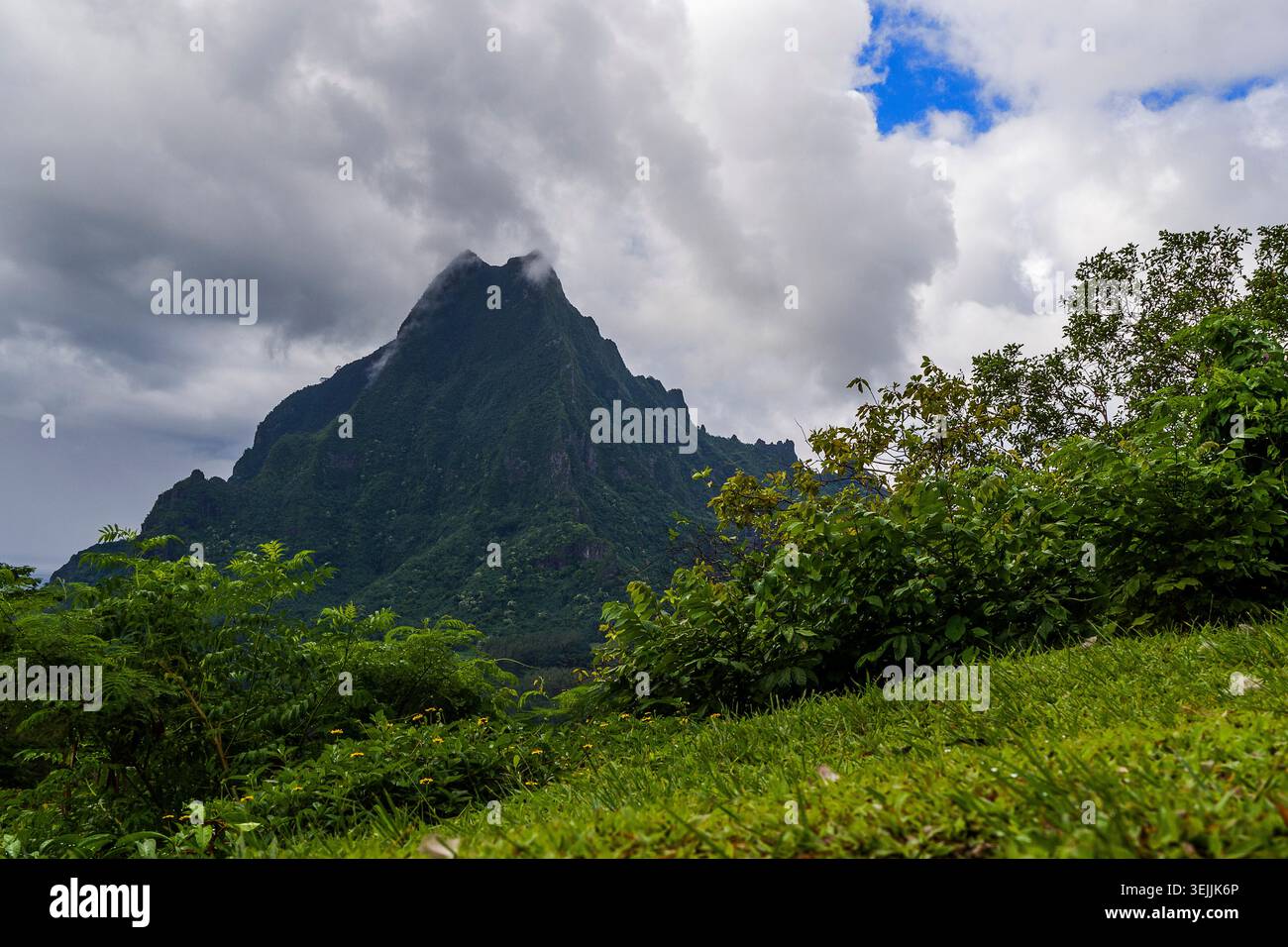 French Polynesia - Moorea Island, Stock Photo