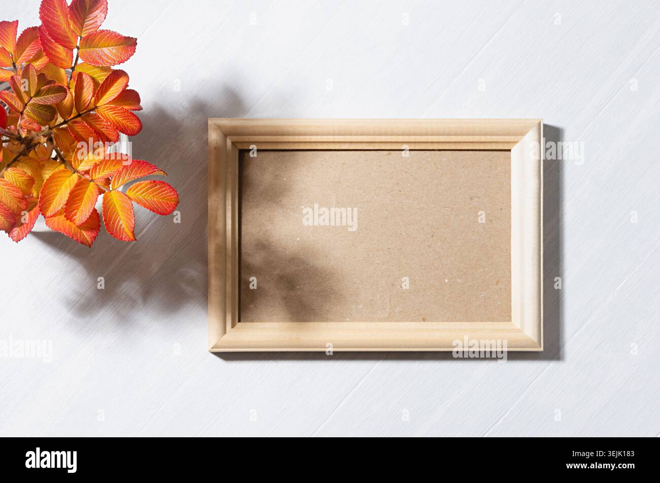 Autumn colorful leaves of rosehip in sunlight with blank wooden frame and shadows on white wood table, copy space, top view, moc Stock Photo