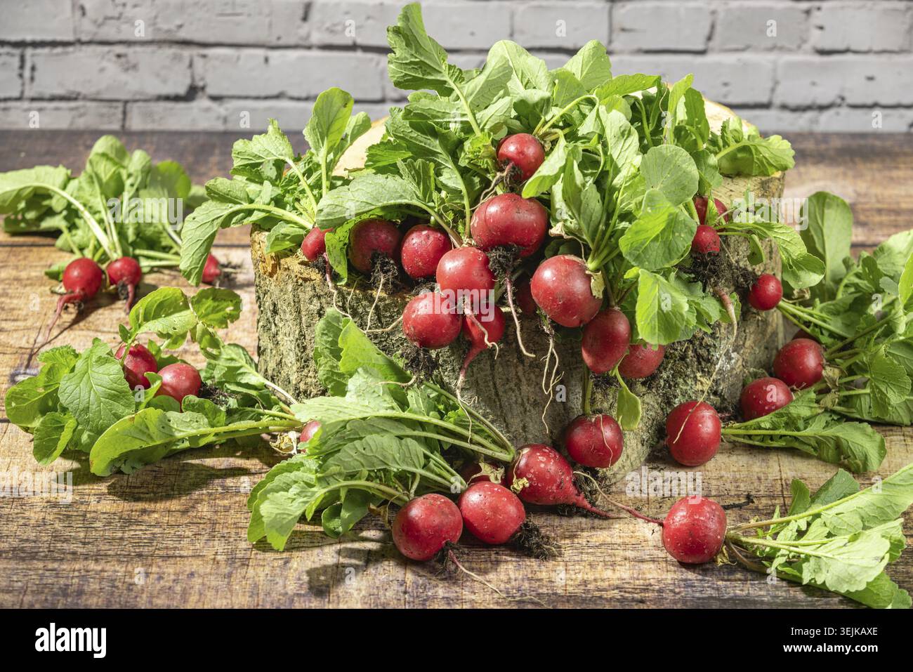 Fresh radishes on a wooden stump with brick wall in the background Stock Photo