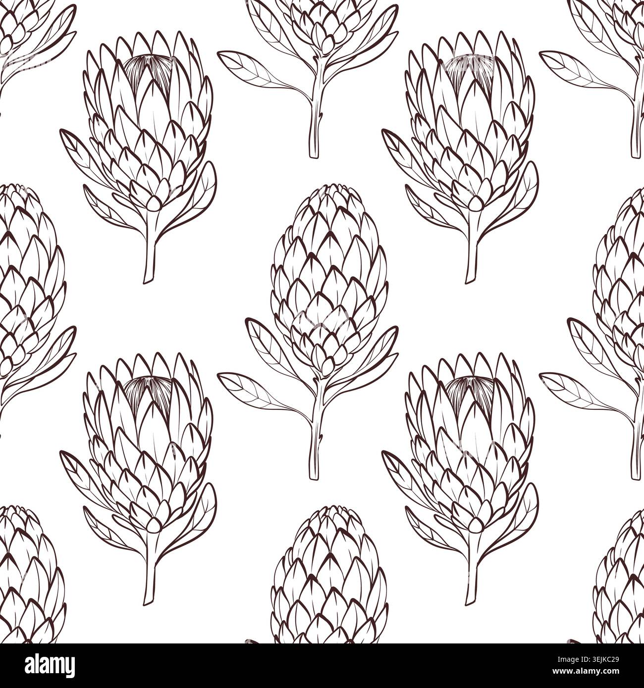 Hand drawn protea pattern, black and white vector seamless floral design for packaging Stock Vector