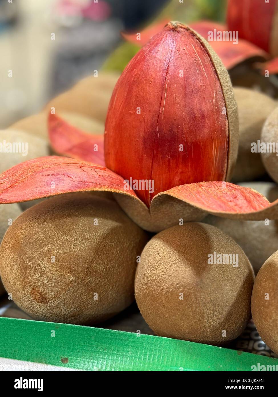 Close-up of cut mamey sapote fruit with reddish-orange flesh at a market in Mexico Stock Photo