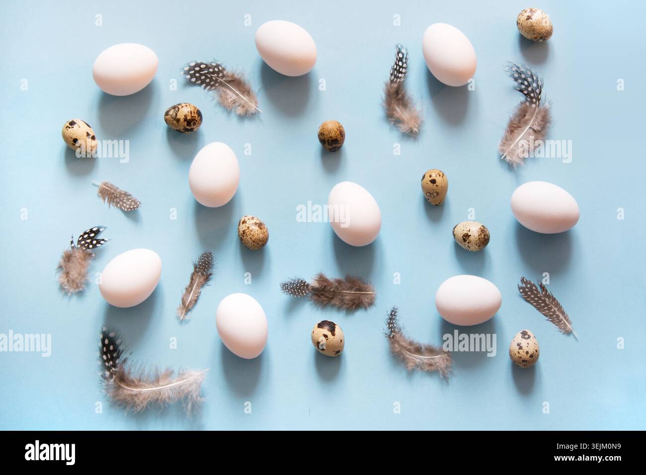 Organic white and quail eggs with feathers decor on blue. Abstract pattern. Stock Photo