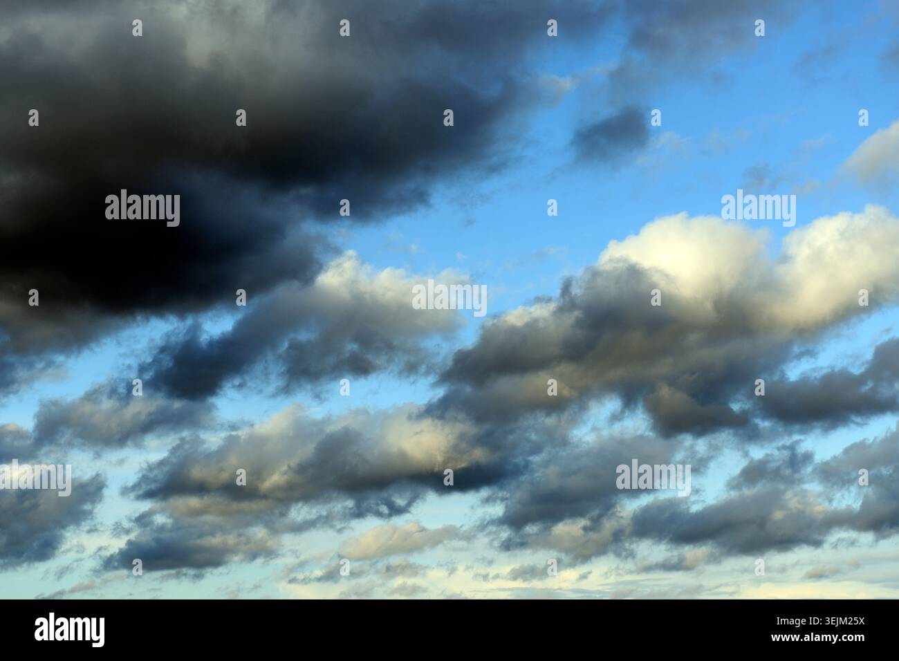 Cumulus clouds, rain clouds, thunderclouds, thunderstorms Stock Photo