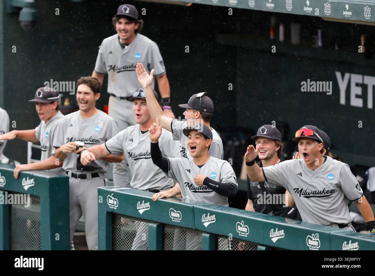 Milwaukee celebrates a run scoring on a bases-loaded walk during an ...
