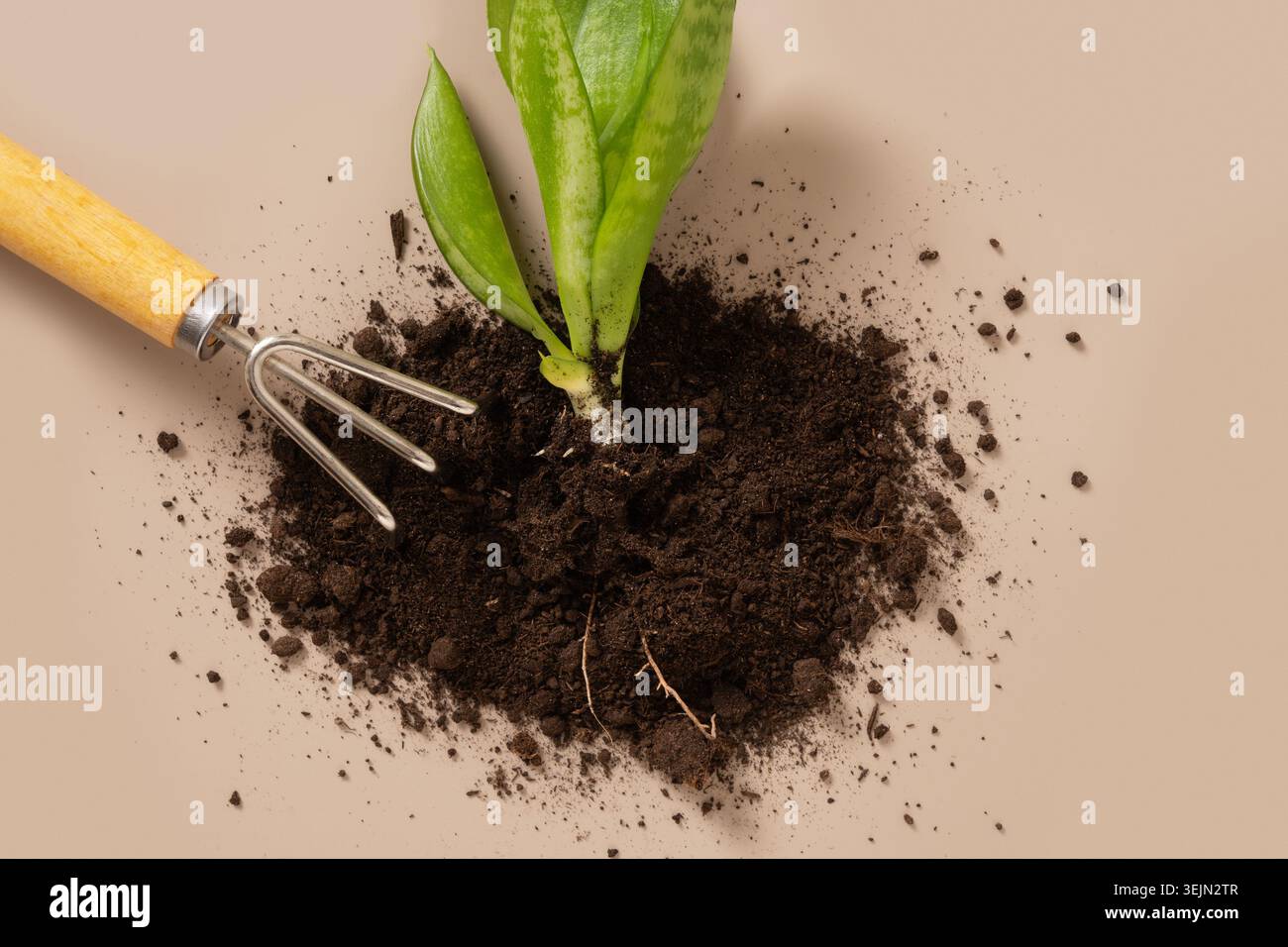 Various gardening Hand tools on beige background. Top view. Stock Photo