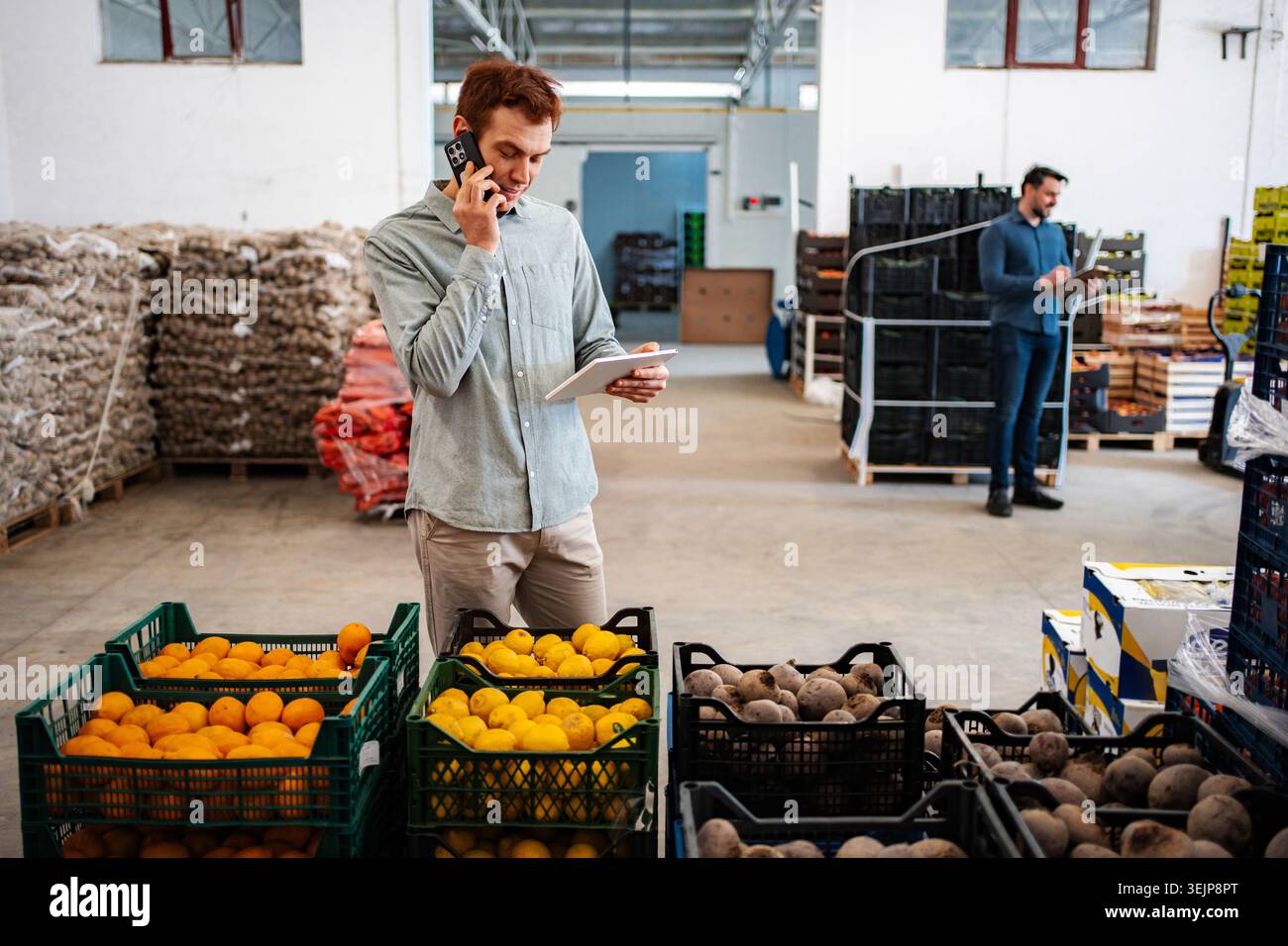 Warehouse workers managing inventory and fresh produce using technology Stock Photo