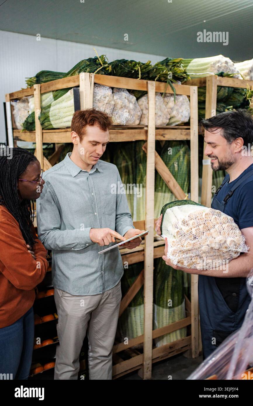 Warehouse workers managing fresh vegetables with digital tablet Stock Photo