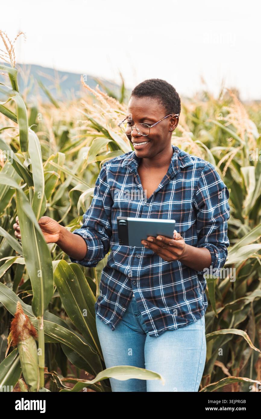 Smiling african farmer using tablet in corn field inspecting crops Stock Photo