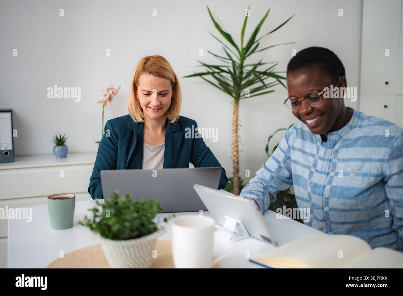Diverse women colleagues collaborating on a project in a modern office environment Stock Photo