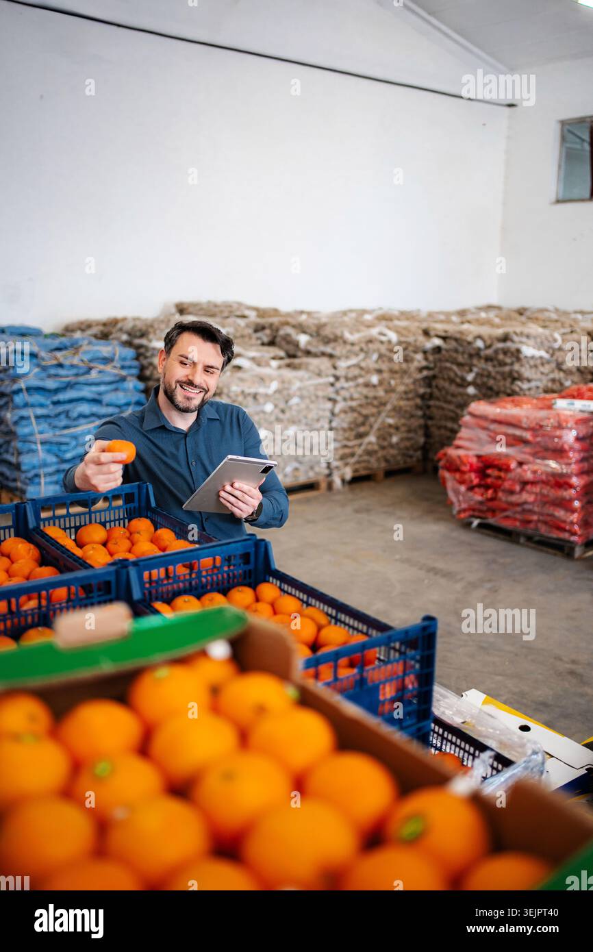 Worker checking fresh oranges with digital tablet in warehouse Stock Photo
