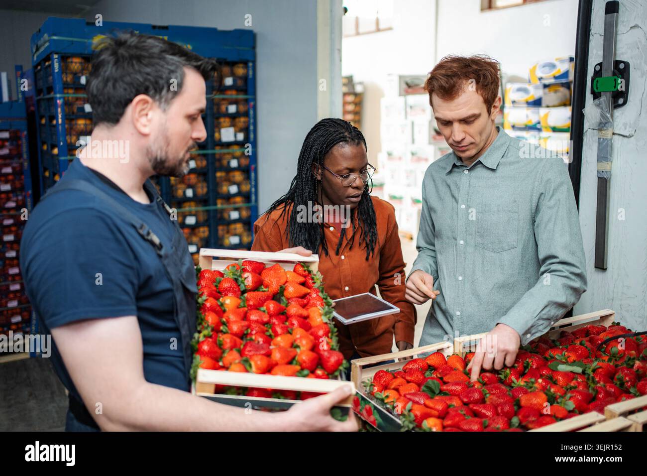 Workers inspecting fresh strawberries for quality control in warehouse Stock Photo