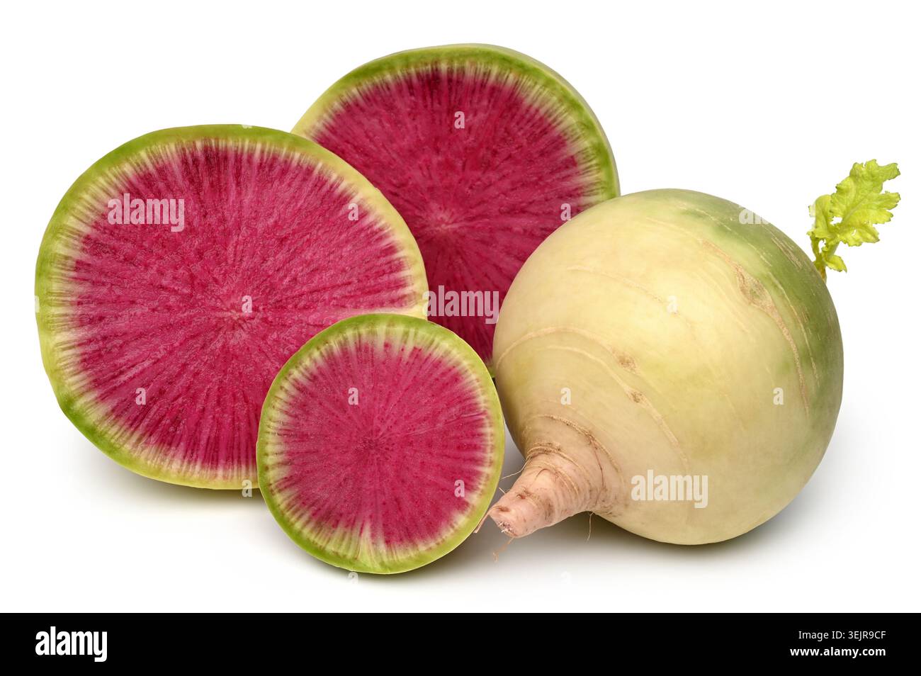 Watermelon radish Stock Photo