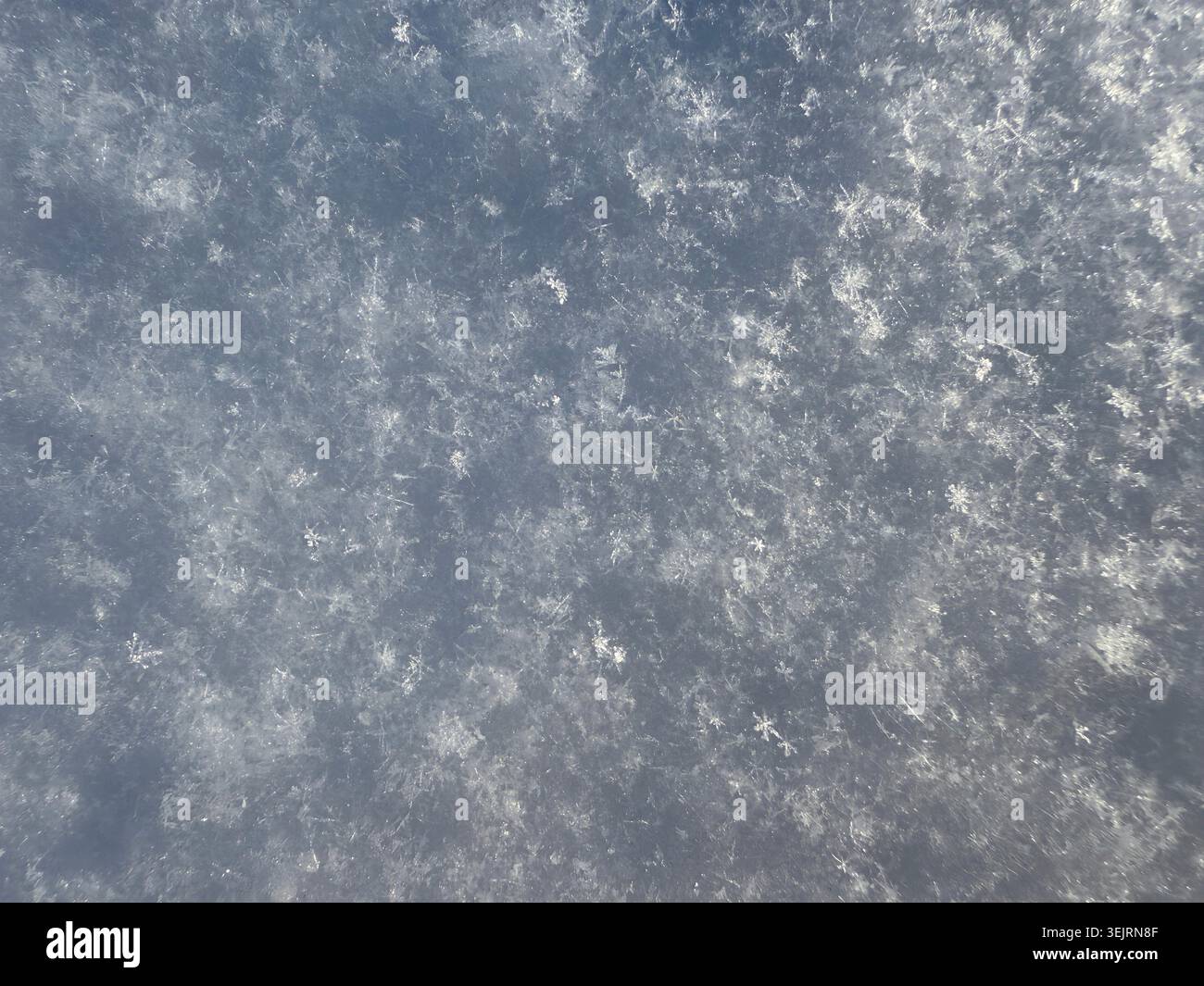 Winter snow white frost background Stock Photo