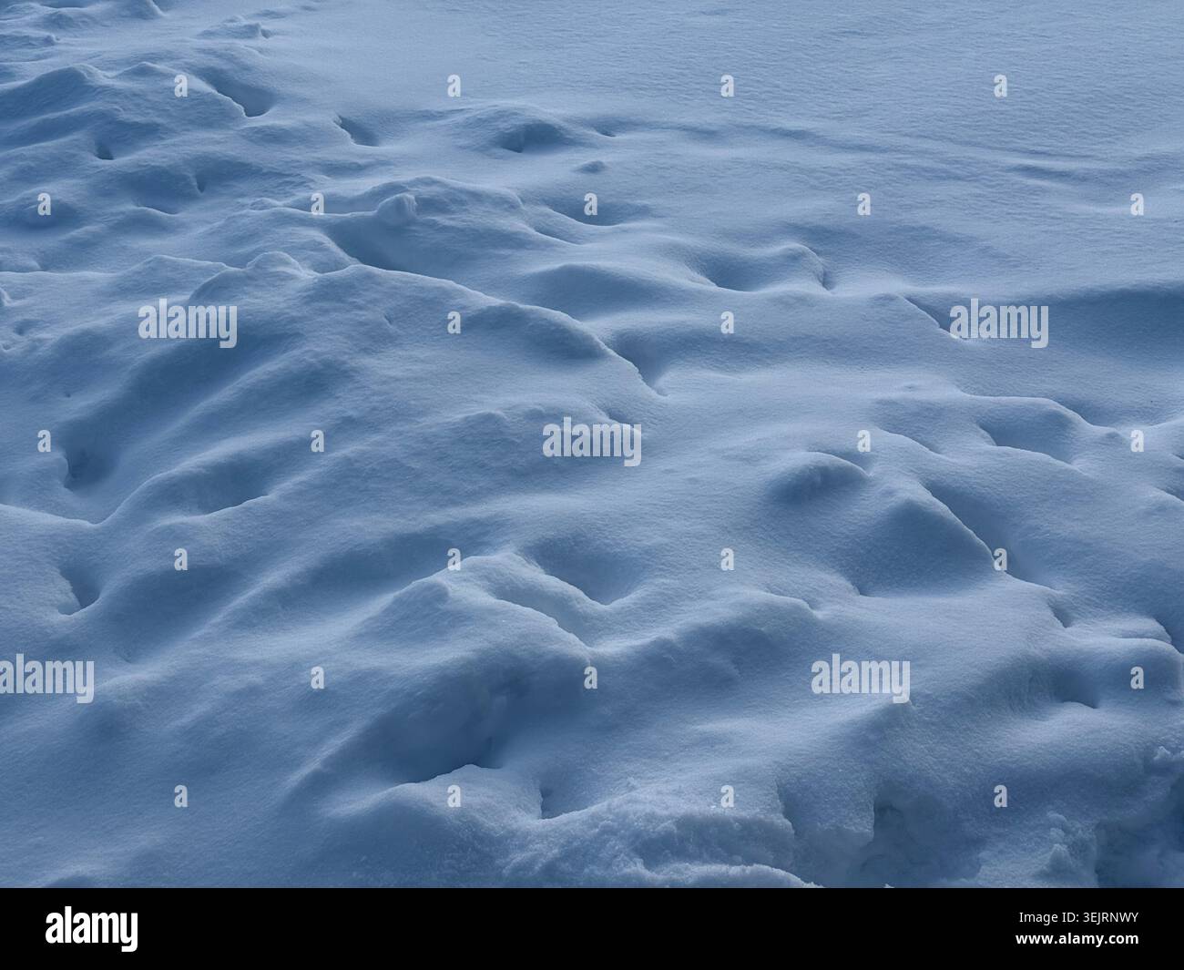 Snow winter snowing blizzard deep snow surface Stock Photo