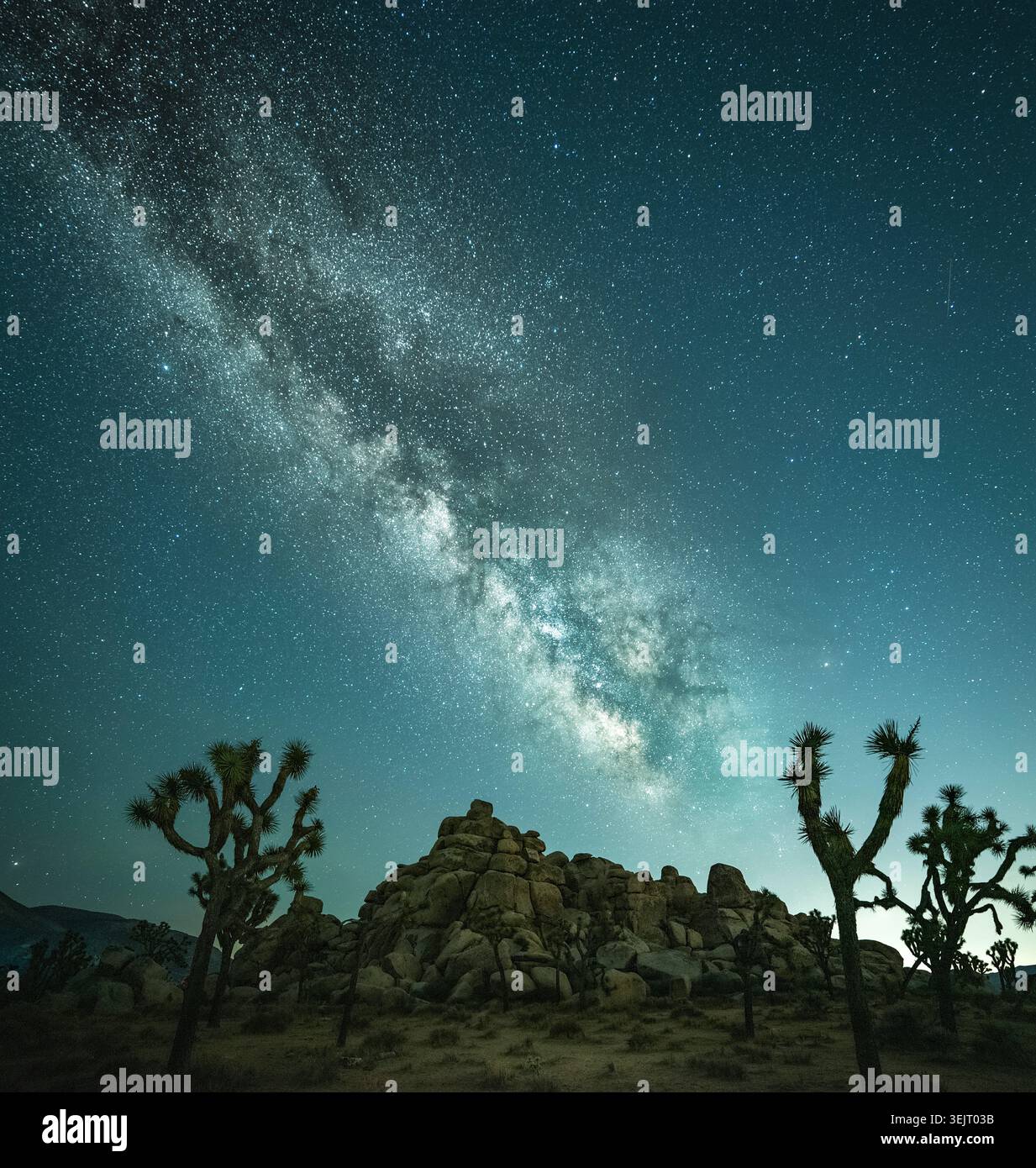 Starry night sky over Joshua trees and desert rocks, California desert ...