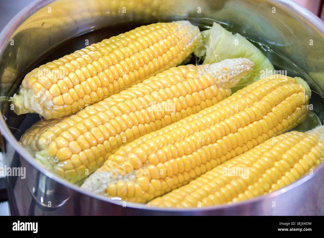 Boiled corn cobs,selective focus Stock Photo