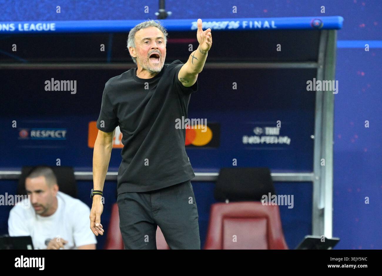 Trainer [coach] Luis Enrique (PSG) Budapest, May 30, 2026, Football ...
