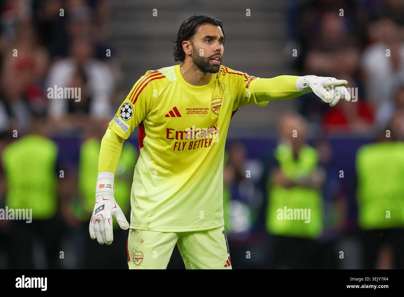 BUDAPEST, HUNGARY - MAY 30: Arsenal goalkeeper David Raya during the ...