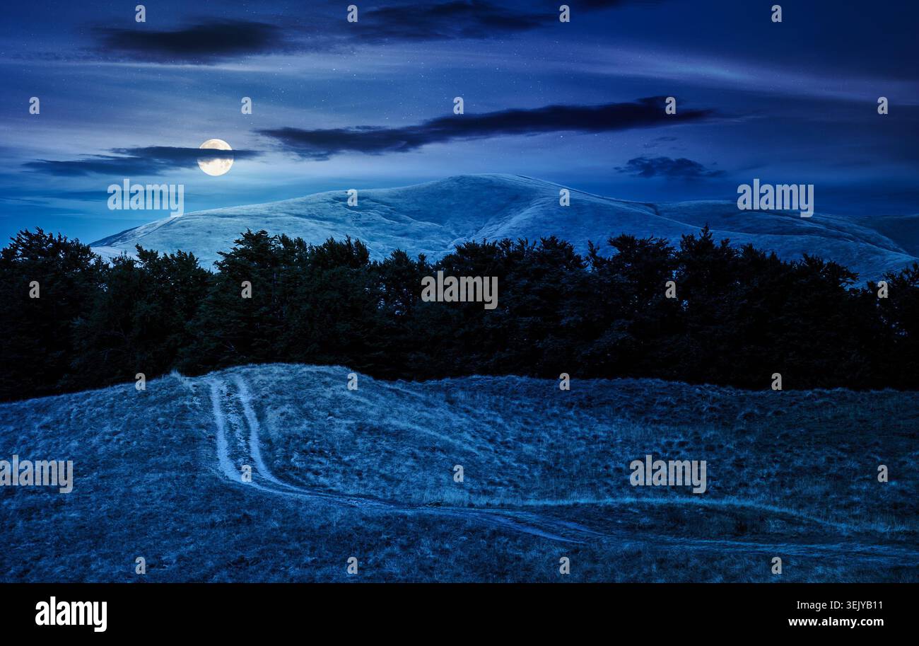 dirt road through grassy hills at night. full moon over mountain landscape with beech forest along the path. mysterious countryside. late summer scene Stock Photo