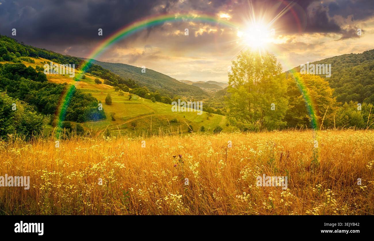 sunset over rural field on the hill. view in to the valley. countryside mountain landscape. alpine pasture near forested hills. timeless nostalgia boo Stock Photo