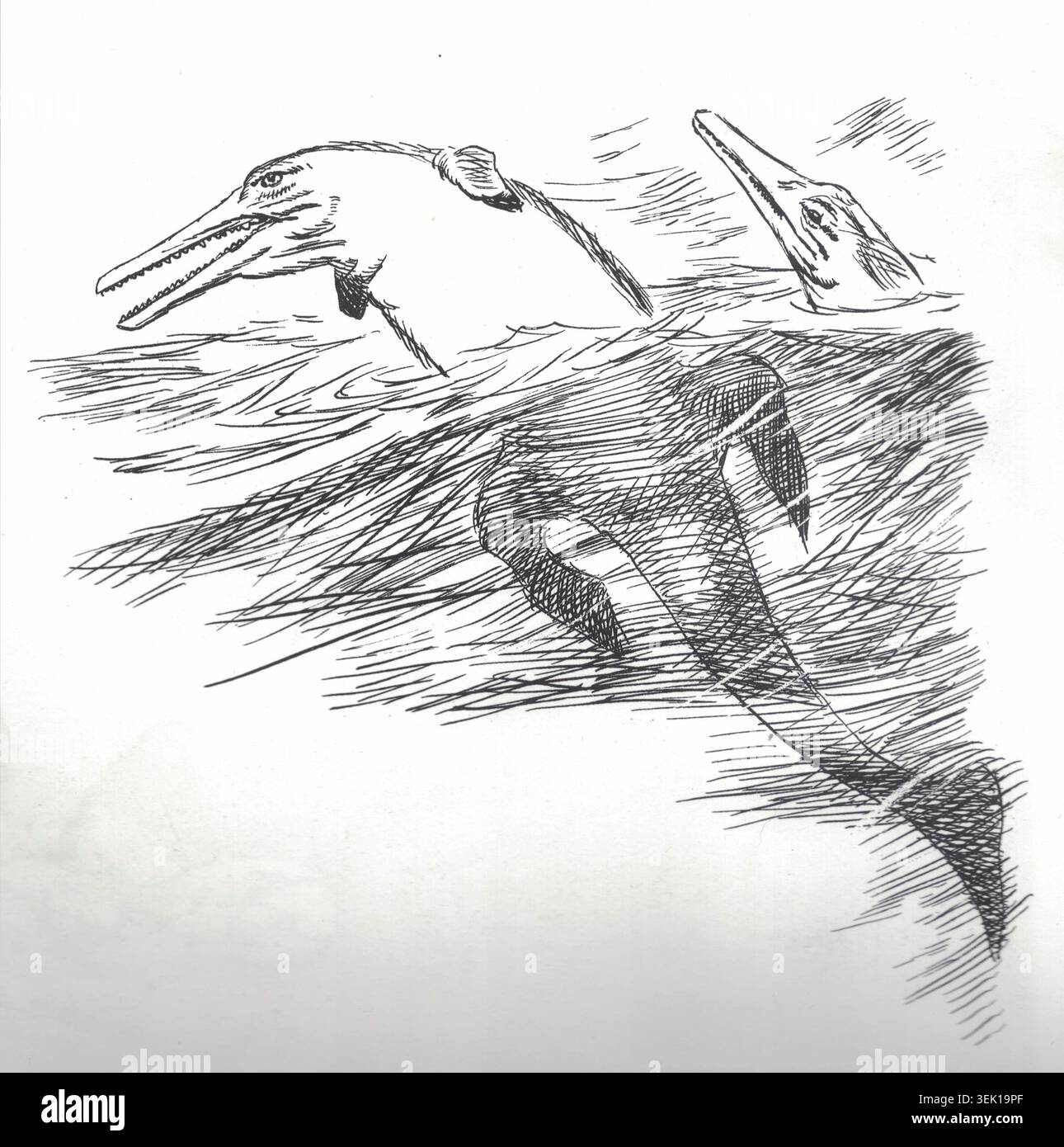 Geosaurus suevicus. Ancient marine reptiles swim through choppy waters ...