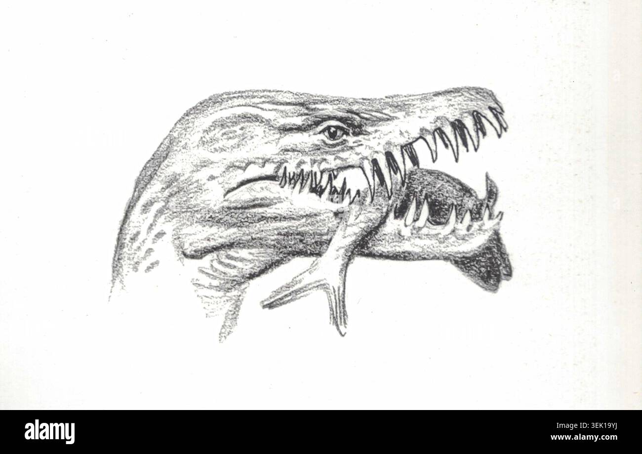 Hydrotherosaurus. Detailed pencil sketch of a fearsome prehistoric ...