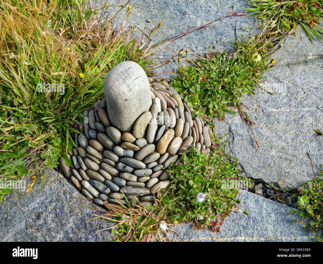 A concentric arrangement of stones is on a slate walking path Stock Photo