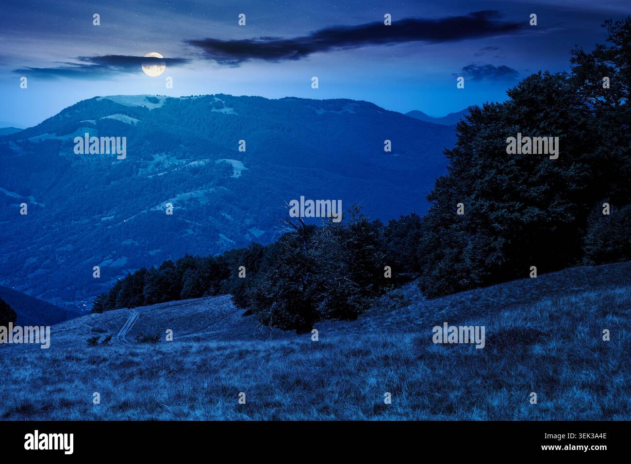 carpathian mountain landscape in summer at night. full moon over primeval beech forest on the grassy hill. mysterious scenery of ukrainian highlands. Stock Photo