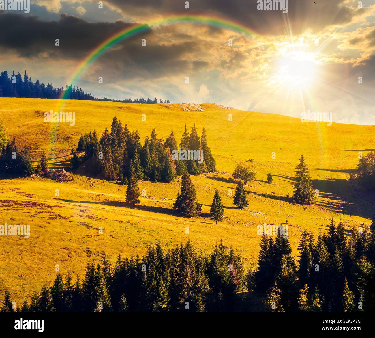 sunset over hillside of mountain range with coniferous forest and meadow under the rainbow. wonderful view of a grassy meadow on steep hill. nature ba Stock Photo