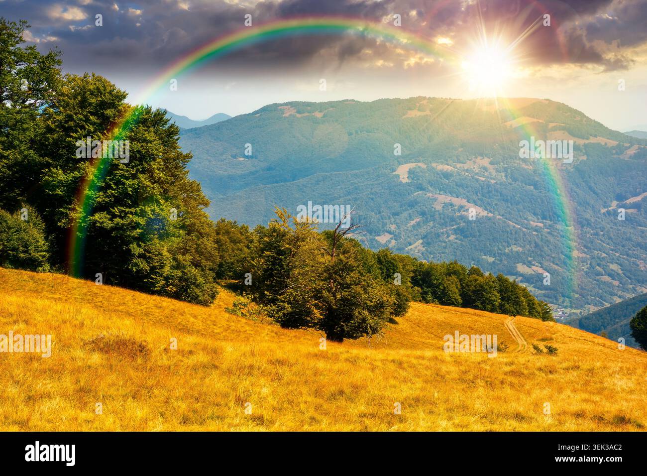 sunset over carpathian mountain landscape in summer. primeval beech forest on the grassy hill. wonderful scenery of ukrainian highlands. pristine ecos Stock Photo