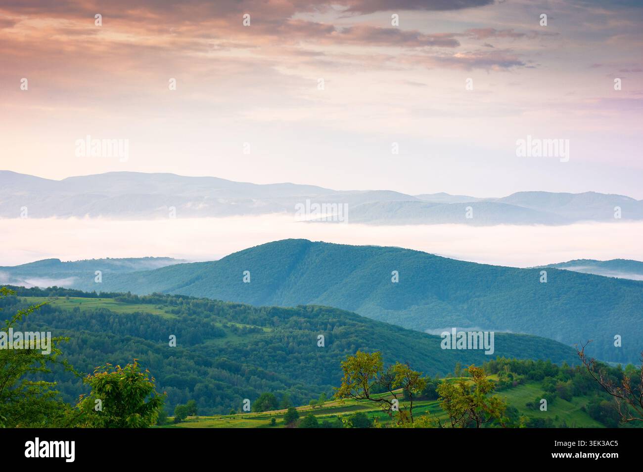 foggy carpathian countryside scenery at dawn in summer. view of mountainous landscape with rural fields on rolling hills. fog in the valley. clouds ab Stock Photo