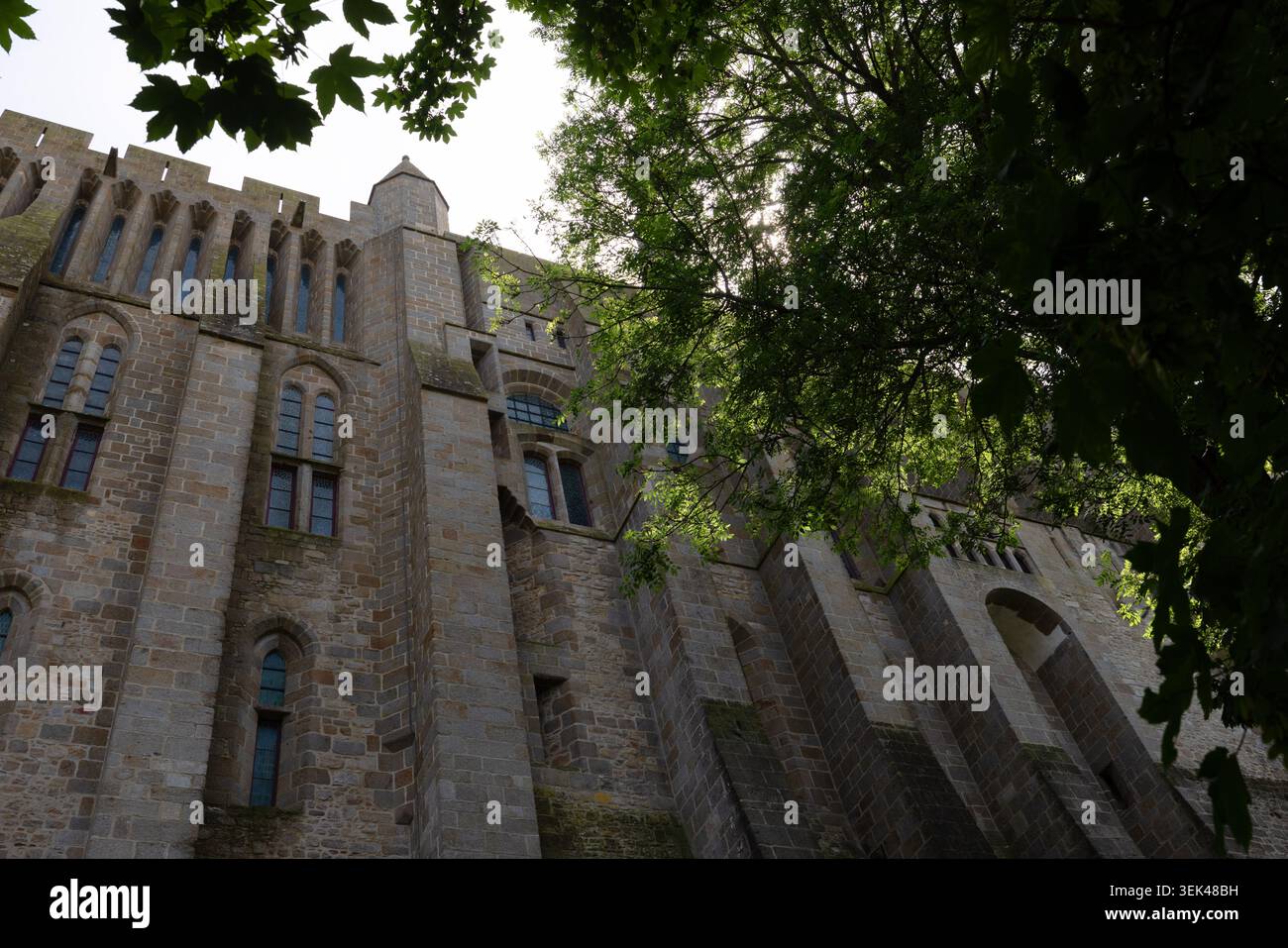 France Tree Massive medieval stone abbey walls hi-res stock photography and images ...