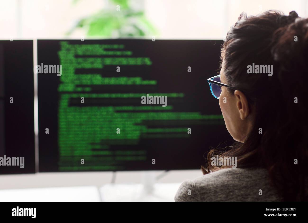 Rear view of female programmer reading code on dual monitors in modern office Stock Photo