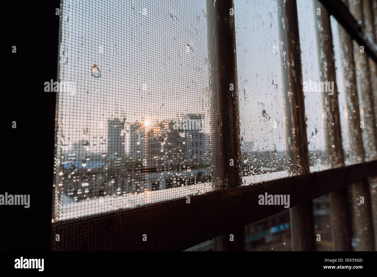 Raindrops on window screen with city skyline at sunset, urban view through mesh barrier Stock Photo