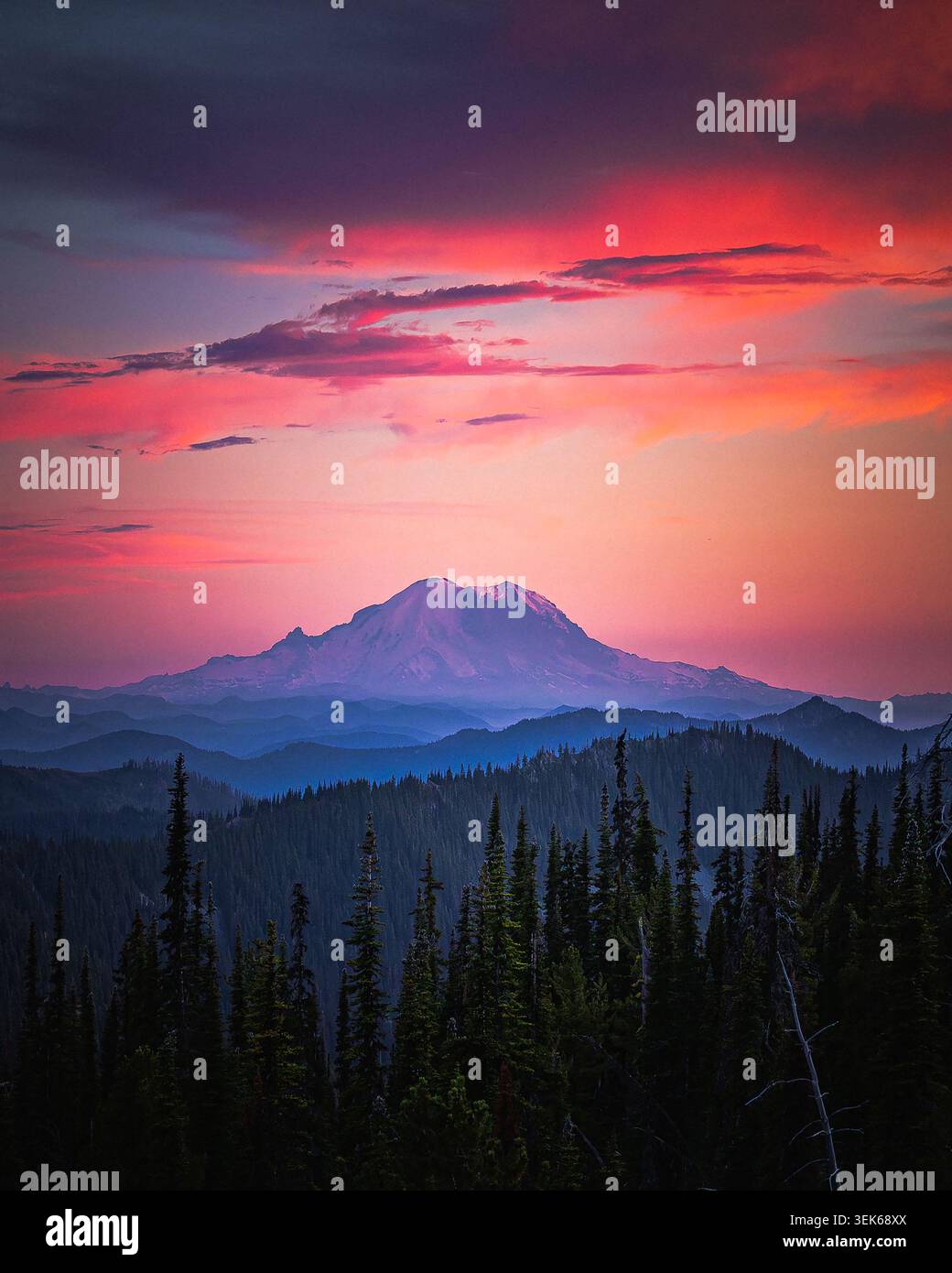 Vibrant pink sunset over Mount Rainier Washington Stock Photo