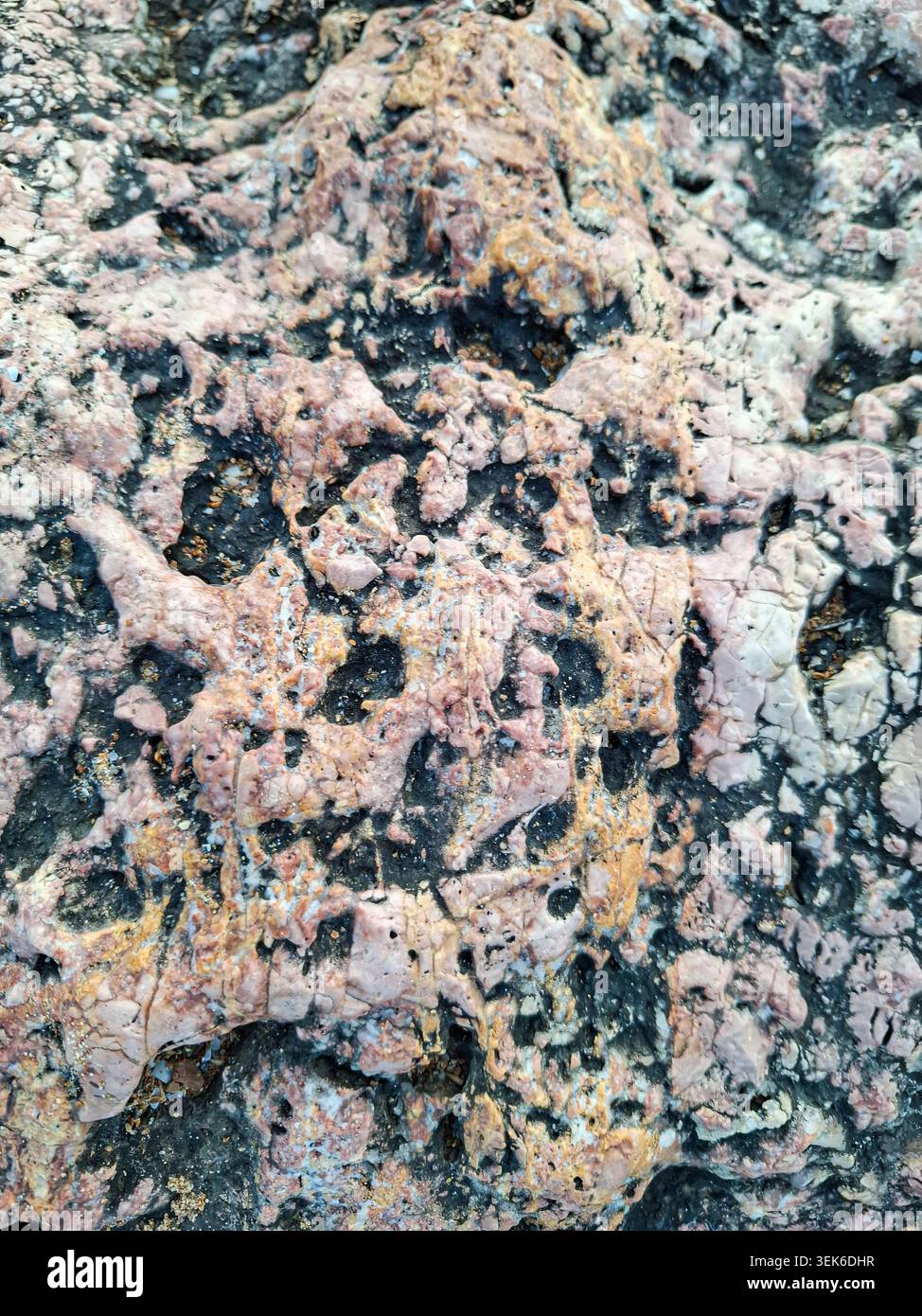Close look at a sea rock surface with weathered texture. The rock shows ...