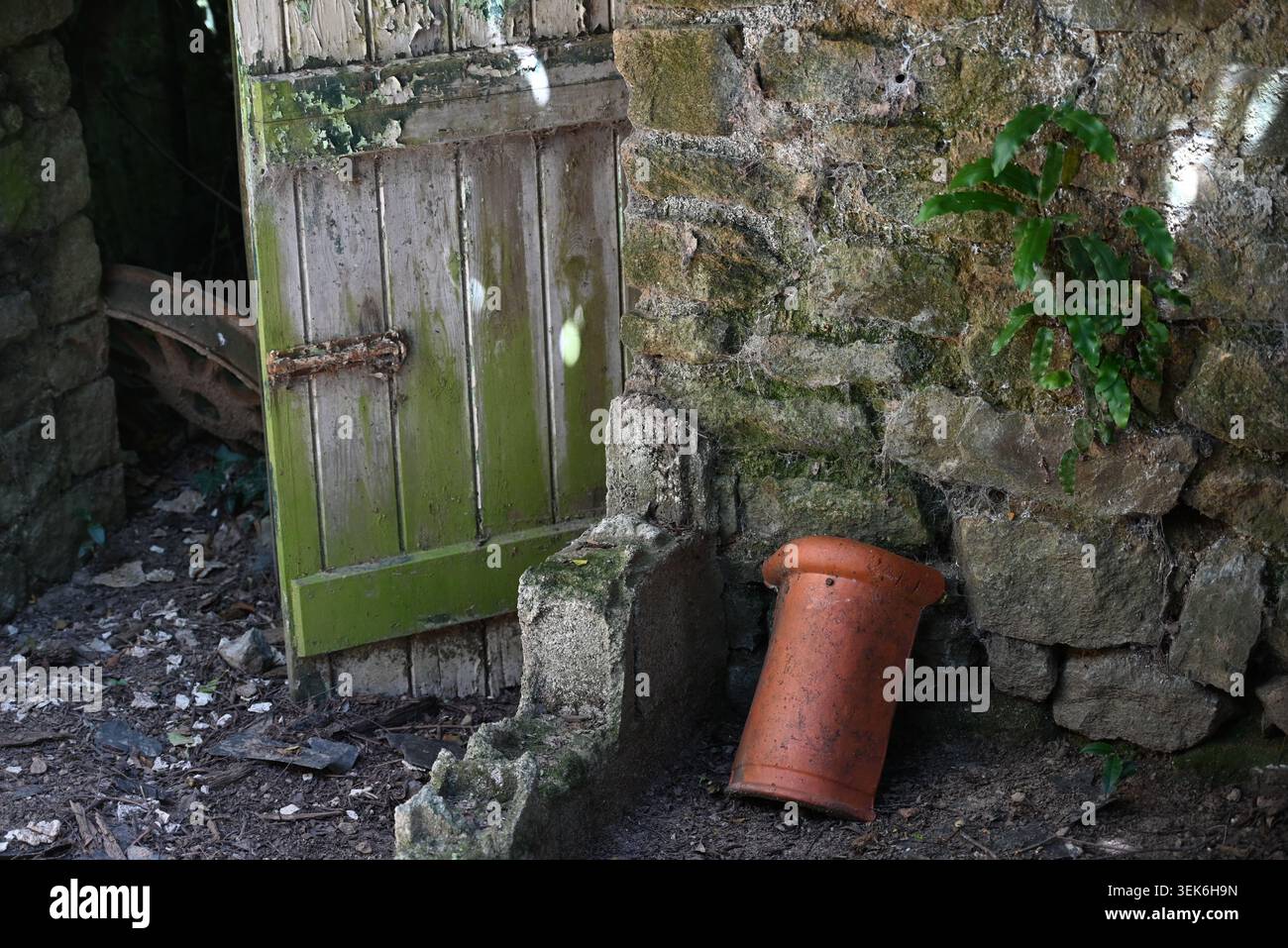 Broken door in an abandoned agricultural building Stock Photo